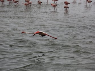 IMG_6901.jpeg IMG_6901.jpeg