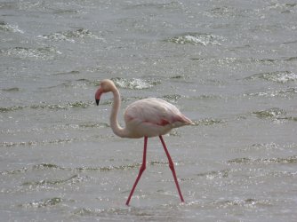 IMG_6910.jpeg IMG_6910.jpeg