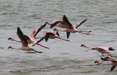 IMG_6903.jpeg IMG_6903.jpeg