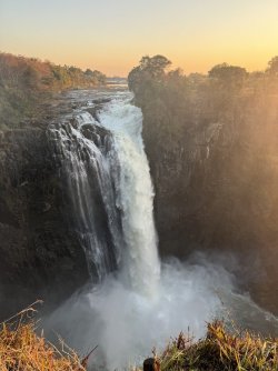 IMG_1752.JPG IMG_1752.JPG