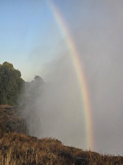 20240804_071457.jpg 20240804_071457.jpg