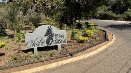 IMG_1785.JPG IMG_1785.JPG