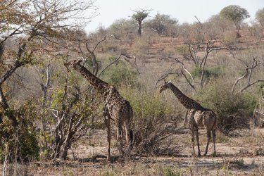 DSC08858.JPG DSC08858.JPG