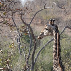 DSC08860.JPG DSC08860.JPG