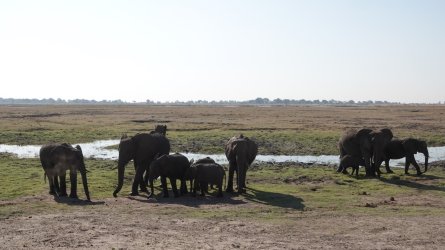 DSC08862.JPG DSC08862.JPG