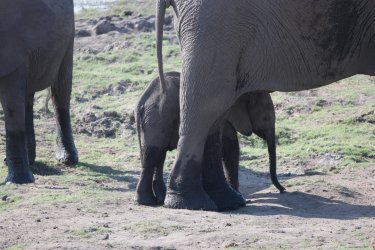 08041334.JPG 08041334.JPG