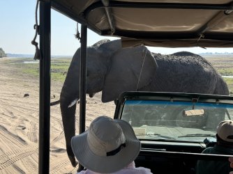 IMG_1808.JPG IMG_1808.JPG