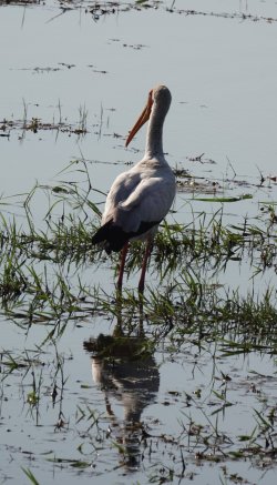 DSC08867.JPG DSC08867.JPG