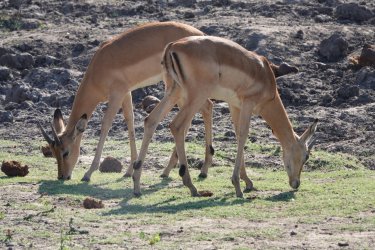 DSC08870.JPG DSC08870.JPG