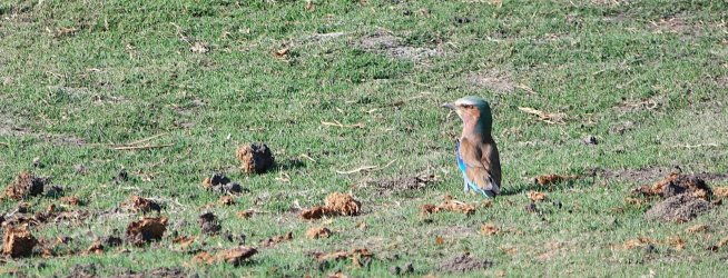 08041337.JPG 08041337.JPG