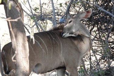 DSC08874.JPG DSC08874.JPG