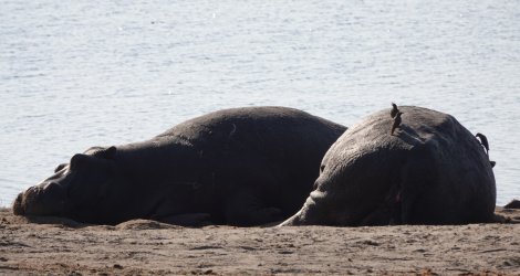 DSC08879.JPG DSC08879.JPG