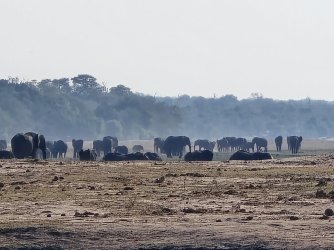 20240804_155830.jpg 20240804_155830.jpg