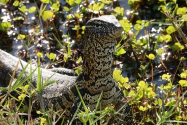 DSC08888.JPG DSC08888.JPG