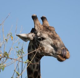 DSC08892.JPG DSC08892.JPG