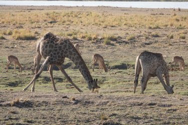 DSC08895.JPG DSC08895.JPG