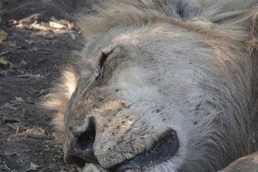 DSC08902.JPG DSC08902.JPG