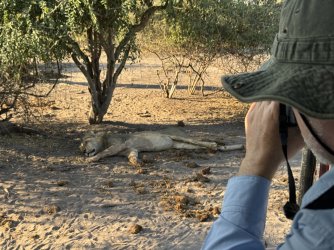 IMG_1826.JPG IMG_1826.JPG