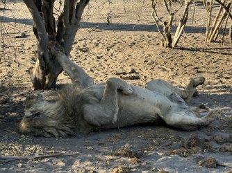 IMG_1828.JPG IMG_1828.JPG