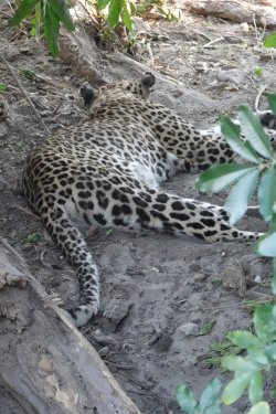 DSC08912.JPG DSC08912.JPG