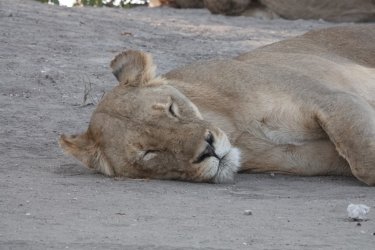 DSC08914.JPG DSC08914.JPG