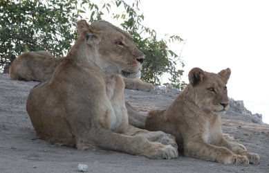 DSC08925.JPG DSC08925.JPG