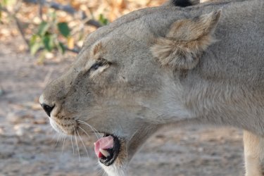 DSC08929.JPG DSC08929.JPG