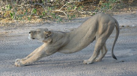 08041384.JPG 08041384.JPG