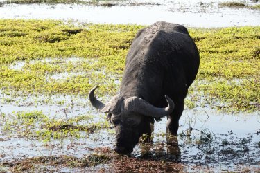 DSC08880.JPG DSC08880.JPG