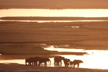 DSC08937.JPG DSC08937.JPG