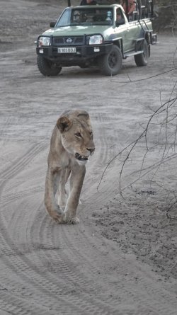 DSC08945.JPG DSC08945.JPG