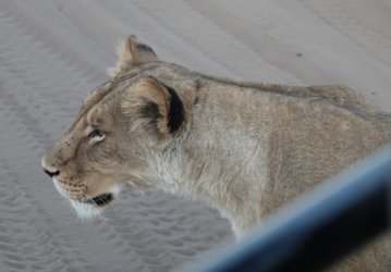 DSC08951.JPG DSC08951.JPG