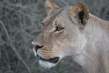 DSC08954.JPG DSC08954.JPG