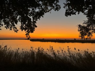 IMG_1858.JPG IMG_1858.JPG