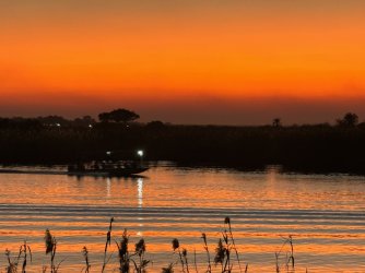 IMG_1866.JPG IMG_1866.JPG