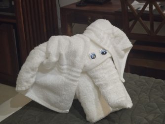 20240804_183455.jpg 20240804_183455.jpg