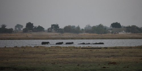 08051429.JPG 08051429.JPG