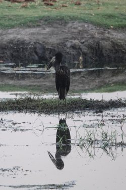 DSC08959.JPG DSC08959.JPG