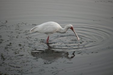 08051436.JPG 08051436.JPG