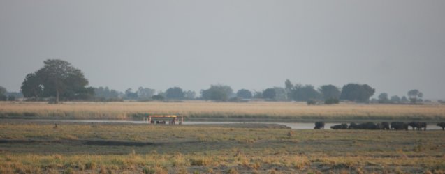 08051448.JPG 08051448.JPG