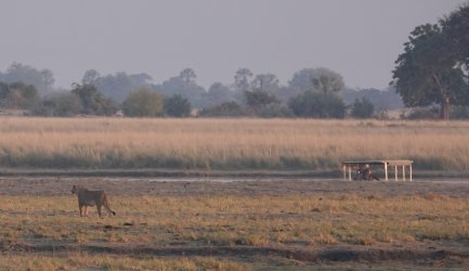 DSC08964.JPG DSC08964.JPG