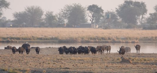 DSC08979.JPG DSC08979.JPG