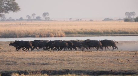 DSC08980.JPG DSC08980.JPG