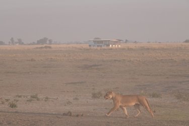 DSC08981.JPG DSC08981.JPG