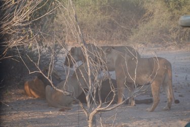 DSC08985.JPG DSC08985.JPG