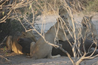 08051467.JPG 08051467.JPG