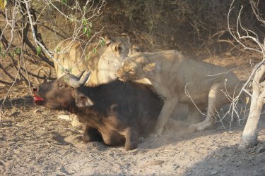 08051475.JPG 08051475.JPG