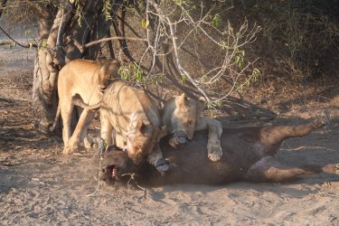 DSC08998.JPG DSC08998.JPG