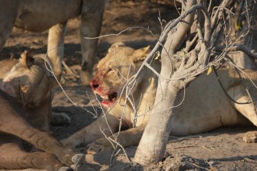 08051506.JPG 08051506.JPG