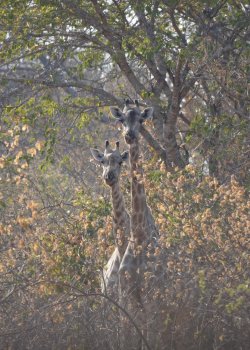 DSC09013.JPG DSC09013.JPG